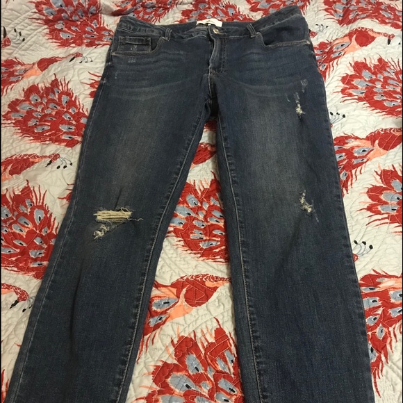 Cotton Spandex Straight Leg Jeans - Picture 1 of 6